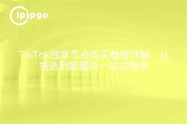 TikTok独享节点购买教程详解：从挑选到配置的一站式指南