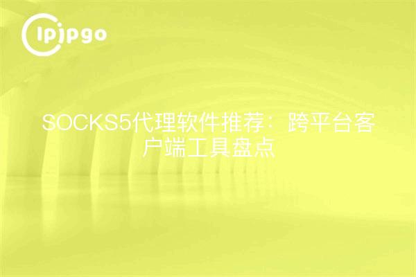 SOCKS5代理软件推荐：跨平台客户端工具盘点
