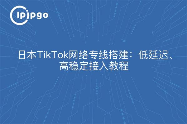 日本TikTok网络专线搭建：低延迟、高稳定接入教程