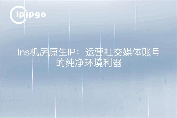 Ins机房原生IP：运营社交媒体账号的纯净环境利器