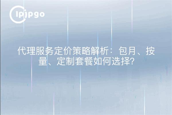 代理服务定价策略解析：包月、按量、定制套餐如何选择？