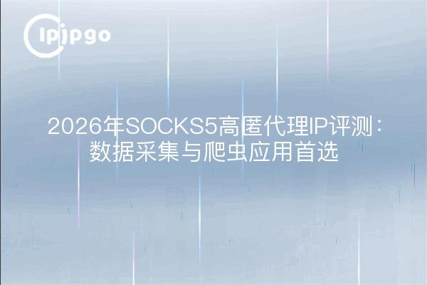 2026年SOCKS5高匿代理IP评测：数据采集与爬虫应用首选