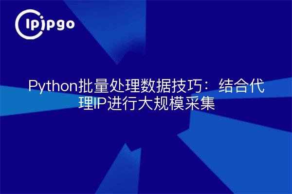 Python批量处理数据技巧：结合代理IP进行大规模采集