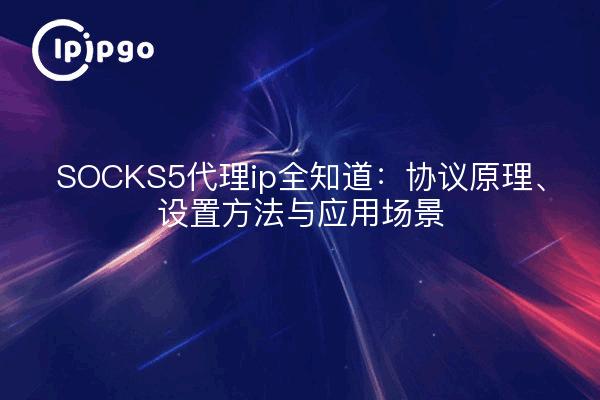 SOCKS5代理ip全知道:协议原理、设置方法与应用场景