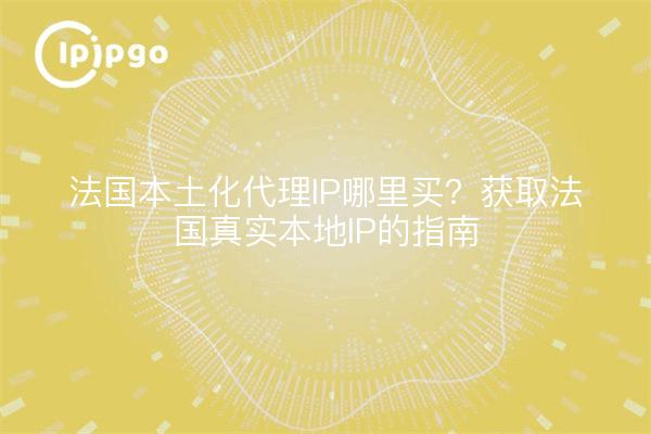 法国本土化代理IP哪里买？获取法国真实本地IP的指南