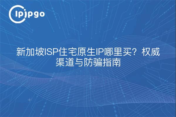 新加坡ISP住宅原生IP哪里买?权威渠道与防骗指南