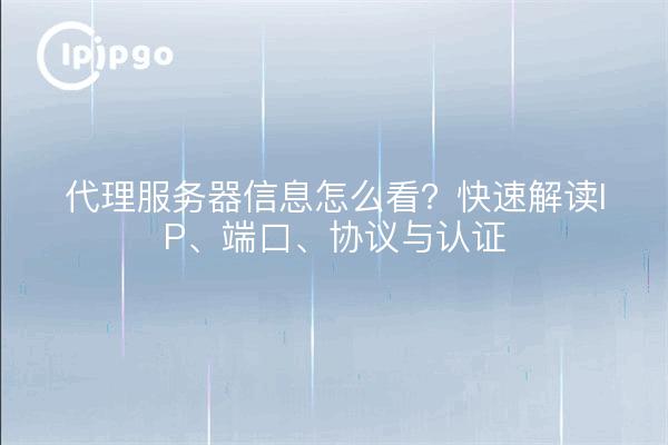 代理服务器信息怎么看？快速解读IP、端口、协议与认证