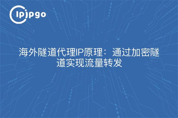 海外隧道代理IP原理：通过加密隧道实现流量转发