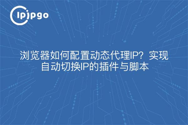 浏览器如何配置动态代理IP?实现自动切换IP的插件与脚本