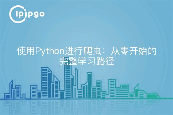 使用Python进行爬虫：从零开始的完整学习路径