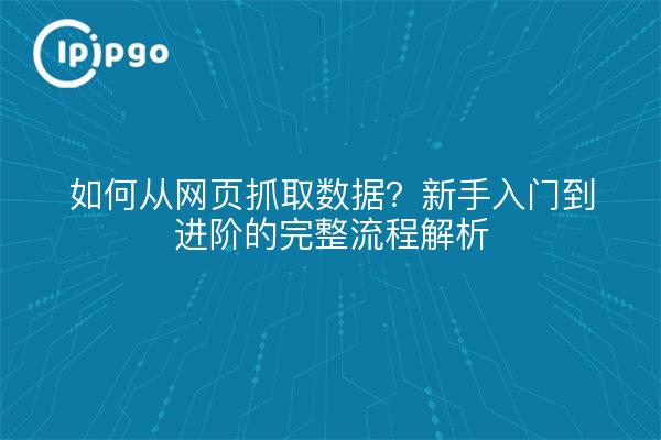 如何从网页抓取数据？新手入门到进阶的完整流程解析
