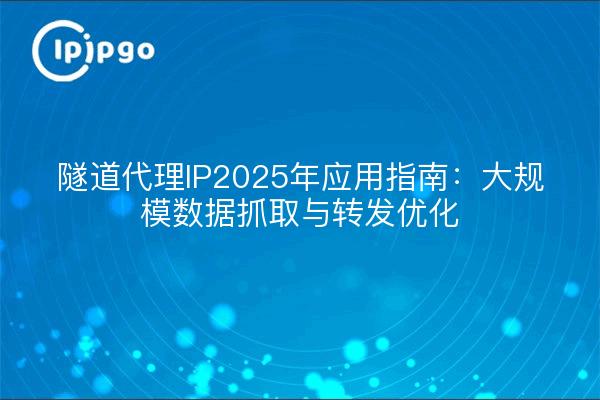 隧道代理IP2025年应用指南:大规模数据抓取与转发优化