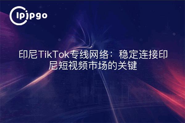 印尼TikTok专线网络:稳定连接印尼短视频市场的关键