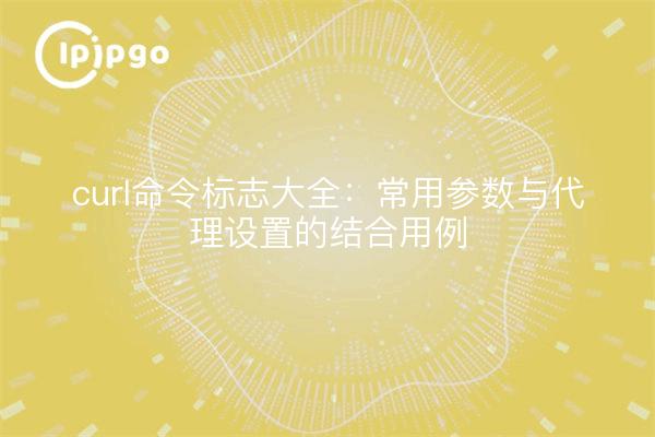 curl命令标志大全:常用参数与代理设置的结合用例