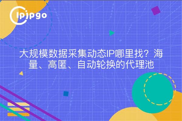 大规模数据采集动态IP哪里找？海量、高匿、自动轮换的代理池