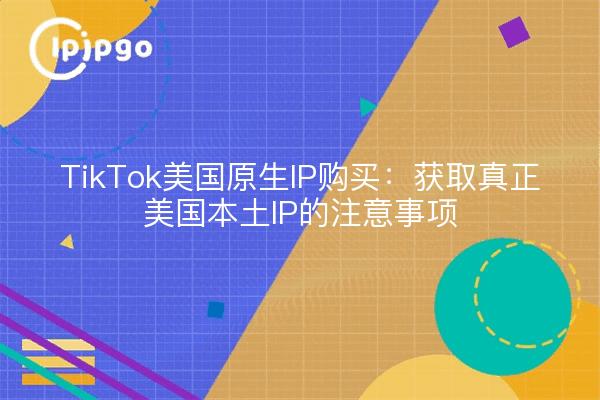 TikTok美国原生IP购买:获取真正美国本土IP的注意事项