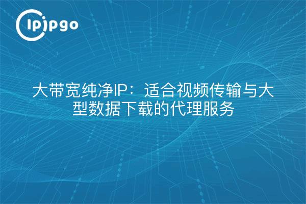 大带宽纯净IP:适合视频传输与大型数据下载的代理服务