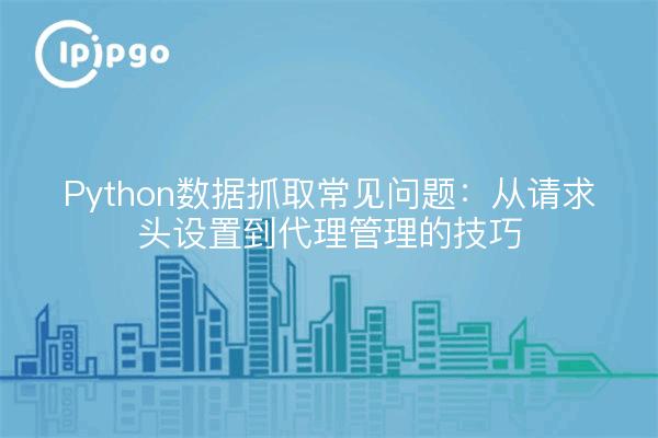 Python数据抓取常见问题：从请求头设置到代理管理的技巧