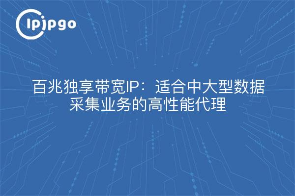 百兆独享带宽IP:适合中大型数据采集业务的高性能代理