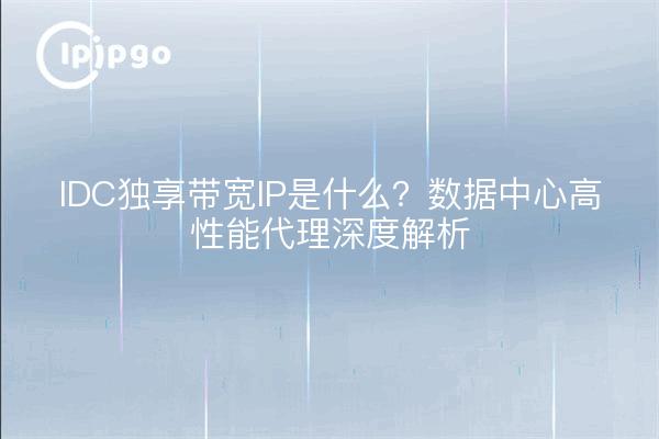 IDC独享带宽IP是什么？数据中心高性能代理深度解析