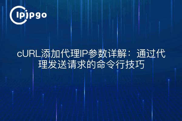 cURL添加代理IP参数详解：通过代理发送请求的命令行技巧