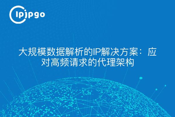 大规模数据解析的IP解决方案:应对高频请求的代理架构