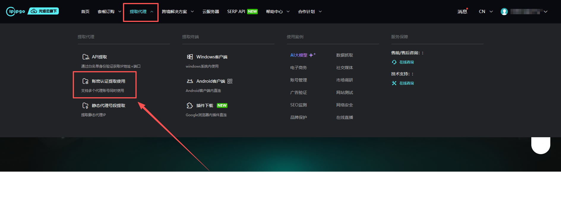 IPIPGO提取代理