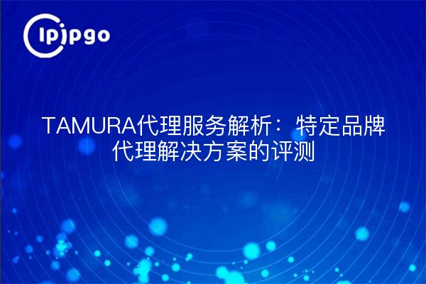 TAMURA代理服务解析：特定品牌代理解决方案的评测