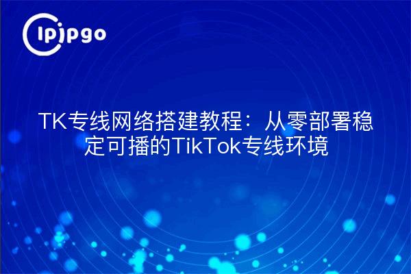 TK专线网络搭建教程：从零部署稳定可播的TikTok专线环境