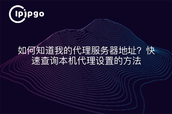 如何知道我的代理服务器地址？快速查询本机代理设置的方法