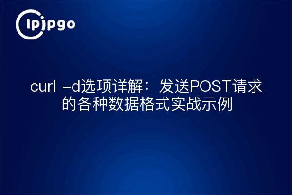curl -d选项详解：发送POST请求的各种数据格式实战示例