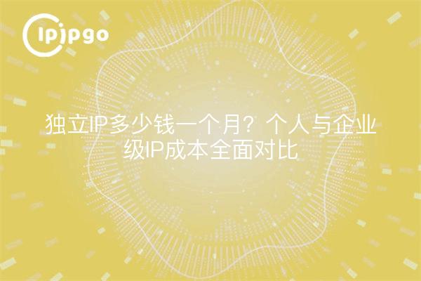 独立IP多少钱一个月？个人与企业级IP成本全面对比
