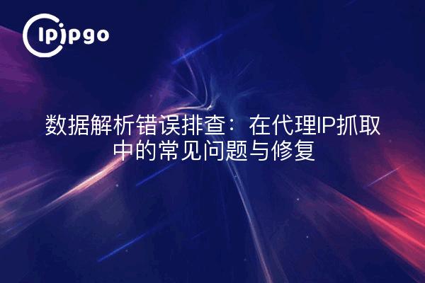 数据解析错误排查：在代理IP抓取中的常见问题与修复