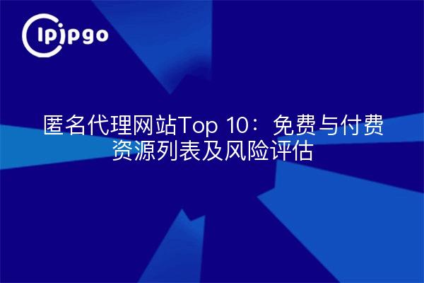 匿名代理网站Top 10：免费与付费资源列表及风险评估
