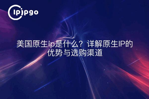 美国原生ip是什么？详解原生IP的优势与选购渠道