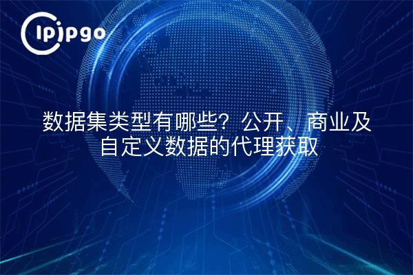 数据集类型有哪些？公开、商业及自定义数据的代理获取