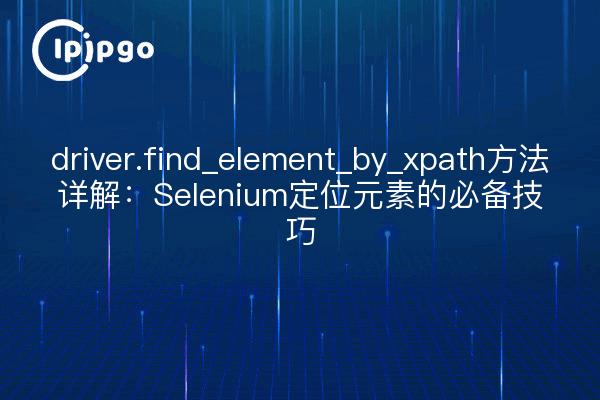 driver.find_element_by_xpath方法详解：Selenium定位元素的必备技巧