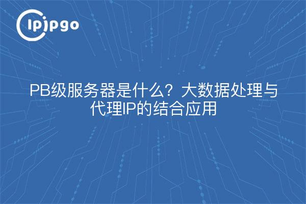 PB级服务器是什么？大数据处理与代理IP的结合应用