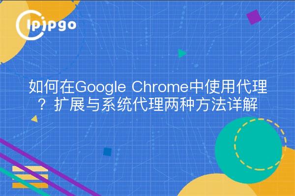 如何在Google Chrome中使用代理？扩展与系统代理两种方法详解