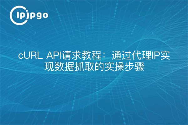 cURL API请求教程：通过代理IP实现数据抓取的实操步骤