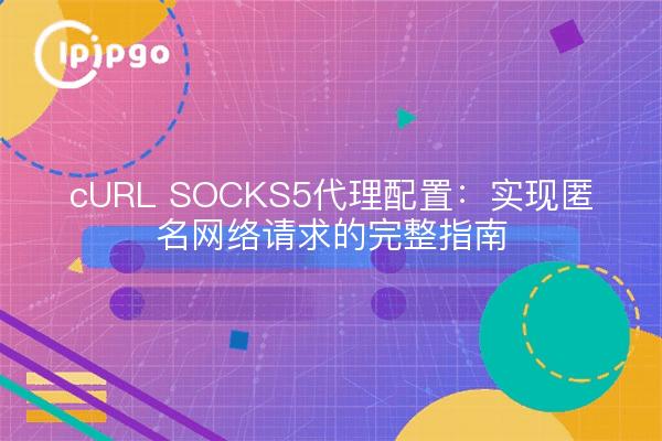 cURL SOCKS5代理配置：实现匿名网络请求的完整指南