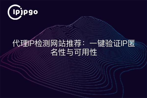 代理IP检测网站推荐：一键验证IP匿名性与可用性