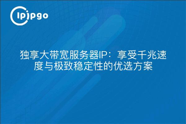 独享大带宽服务器IP：享受千兆速度与极致稳定性的优选方案