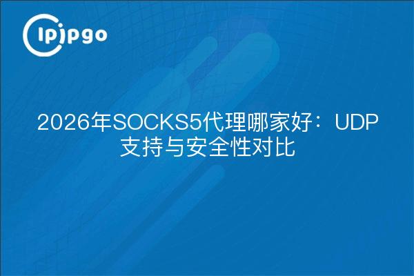 2026年SOCKS5代理哪家好：UDP支持与安全性对比