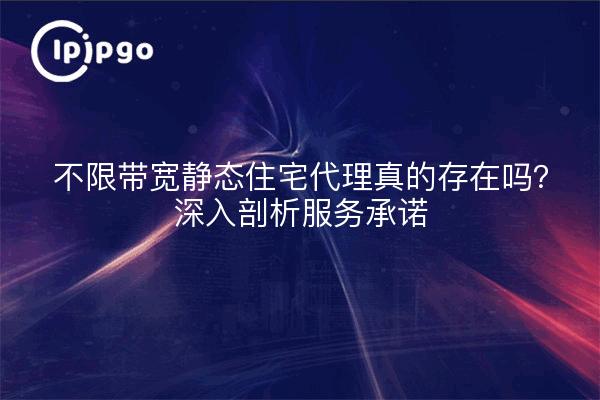 不限带宽静态住宅代理真的存在吗？深入剖析服务承诺