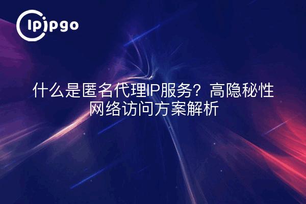 什么是匿名代理IP服务?高隐秘性网络访问方案解析