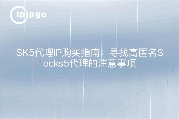 SK5代理IP购买指南:寻找高匿名Socks5代理的注意事项