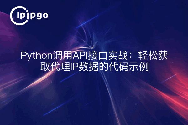 Python调用API接口实战：轻松获取代理IP数据的代码示例