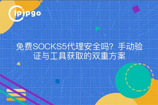 免费SOCKS5代理安全吗？手动验证与工具获取的双重方案