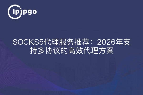 SOCKS5代理服务推荐：2026年支持多协议的高效代理方案
